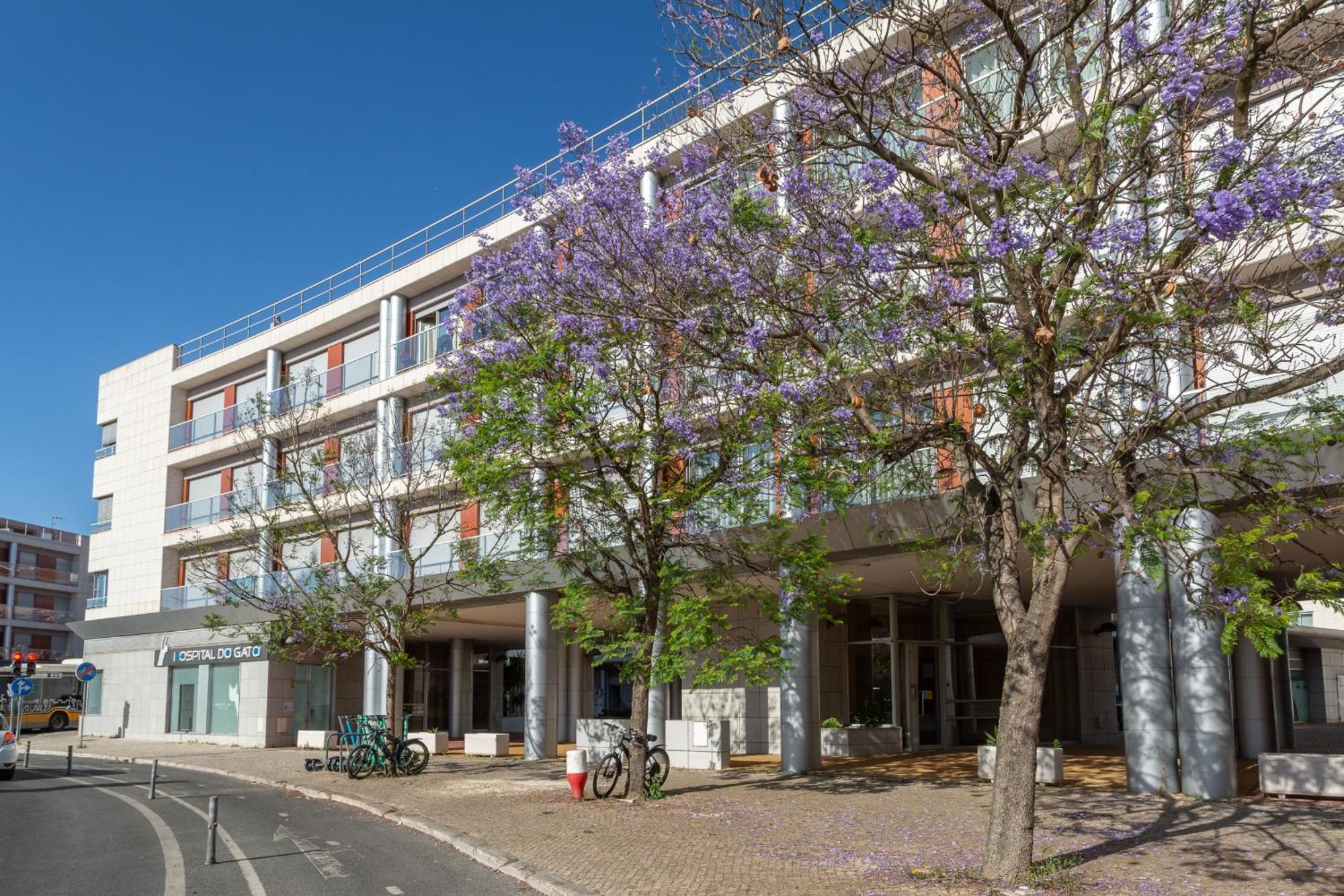 Beguest Premium Lisbon Suites Lisboa Exterior foto